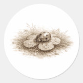 Ladybug in Bloom Soft Monochrome Nature Design on  Ronde Sticker (Voorkant)