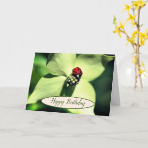 Ladybug in Dogwood Flower Birthday Kaart