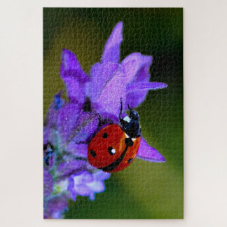 Ladybug in lavendepuzzel legpuzzel