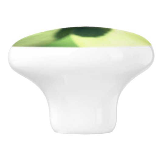 Ladybug in White Dogwood Flower Close Keramische Knop (Zijkant)