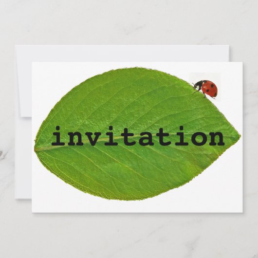 Ladybug Kaart (Voorkant)