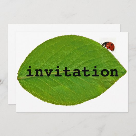 Ladybug Kaart (Voorkant / Achterkant)