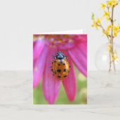 Ladybug-Kaart Kaart (Gele Bloem)