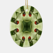 Ladybug Kaleidoscope Natuur Ornament (Rechts)