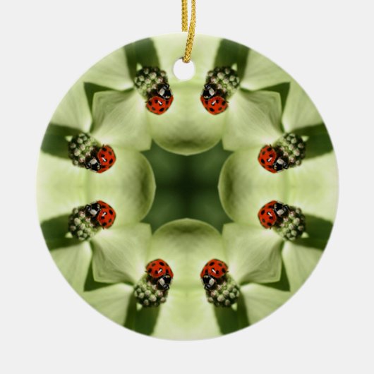 Ladybug Kaleidoscope Natuur Ornament (Voorkant)