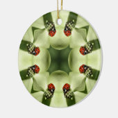 Ladybug Kaleidoscope Natuur Ornament (Links)