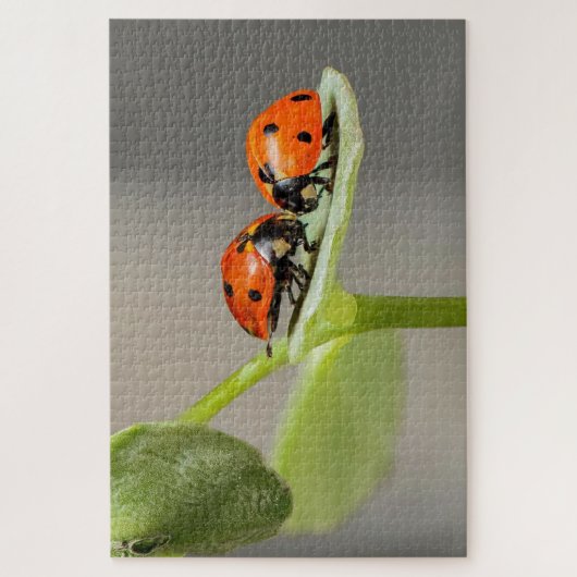 Ladybug kevers op een blad legpuzzel (Verticaal)