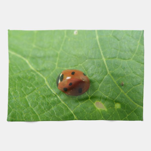 Ladybug Kitchen Towel Theedoek (Horizontaal)