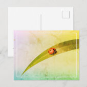 Ladybug Leaf Briefkaart (Voorkant / Achterkant)