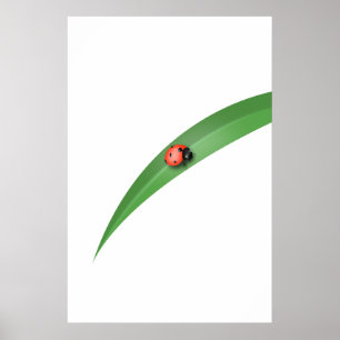 Ladybug Leaf Poster