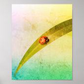 Ladybug Leaf Poster (Voorkant)