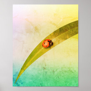 Ladybug Leaf Poster