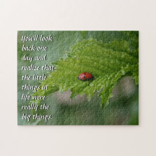 Ladybug Legpuzzel