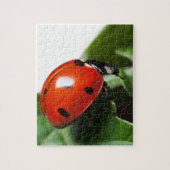 Ladybug Legpuzzel (Verticaal)
