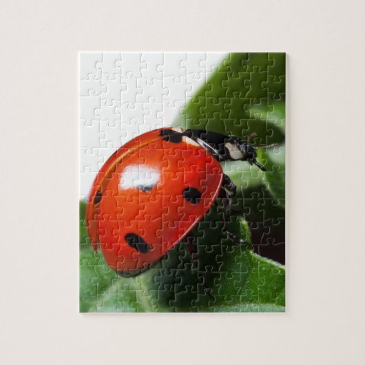 Ladybug Legpuzzel (Verticaal)