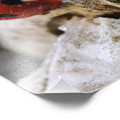 Ladybug leven in de tuin foto afdruk (Hoek)