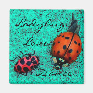 LADYBUG LOVE DANCE MAGNET MAGNEET