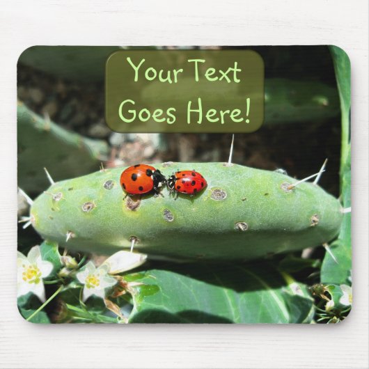 Ladybug Love Muismat (Voorkant)