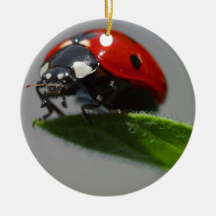 Ladybug Lovers Art Keramisch Ornament
