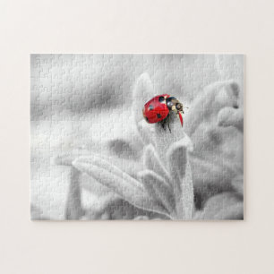 Ladybug Macro Monochrome, Jigzaag Puzzle Legpuzzel
