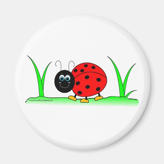 Ladybug Magnet (Devant)