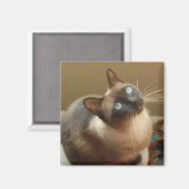 Ladybug Magnet Magneet (Voorkant / Achterkant)