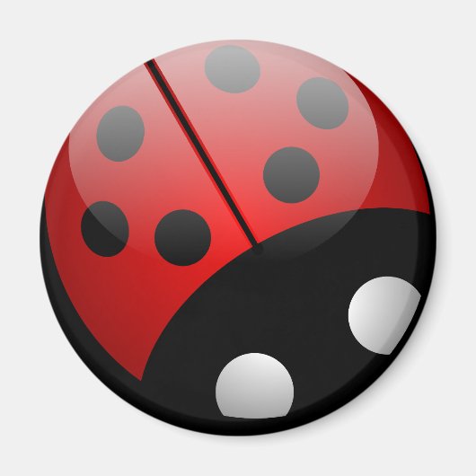 Ladybug Magnet Magneet (Voorkant)