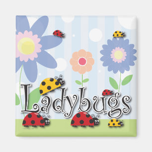 Ladybug Magnet Magneet