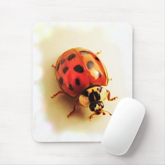 Ladybug Mousepad Muismat (Met muis)