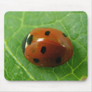 Ladybug Mousepad Muismat