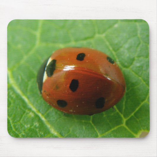 Ladybug Mousepad Muismat (Voorkant)