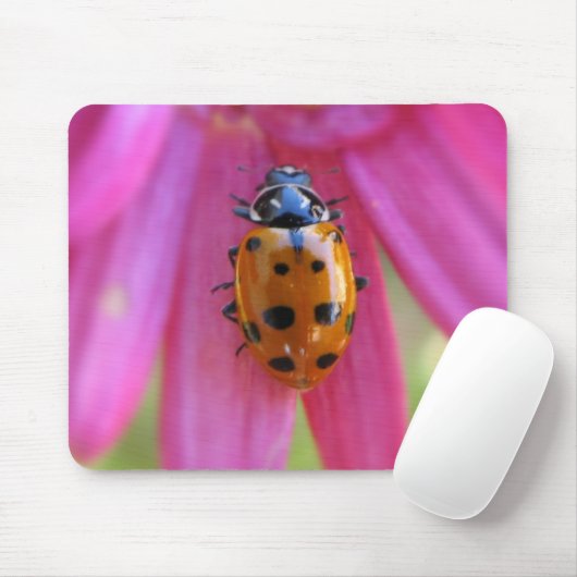 Ladybug Mousepad Muismat (Met muis)