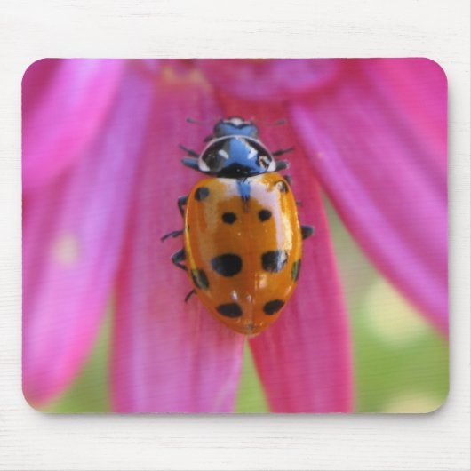 Ladybug Mousepad Muismat (Voorkant)