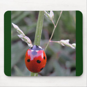 Ladybug Mousepad Muismat