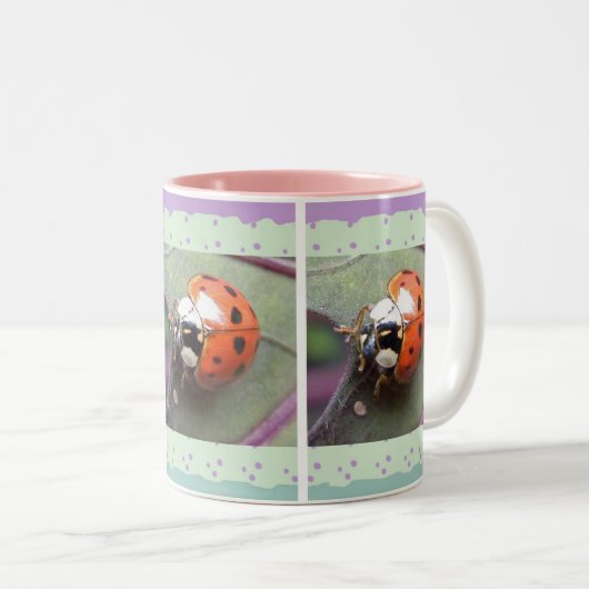Ladybug Mug (Devant droit)
