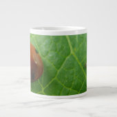Ladybug Mug (Devant)