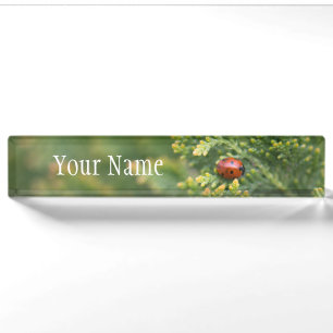 Ladybug Naambordje