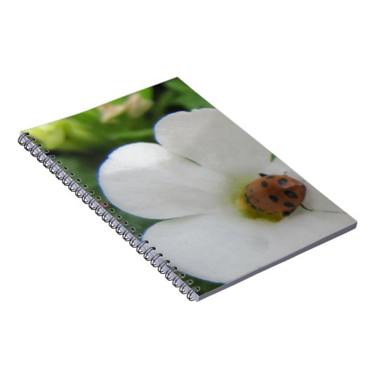 Ladybug Notitieboek (Rechterzijde)