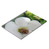 Ladybug Notitieboek (Linkerzijde)