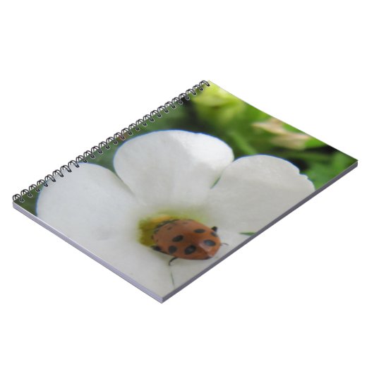 Ladybug Notitieboek (Linkerzijde)