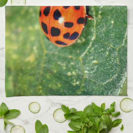 Ladybug On Leaf Close Up  Theedoek (Gevouwen)