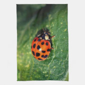 Ladybug On Leaf Close Up  Theedoek (Verticaal)