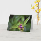 Ladybug On Peony, carte (Fleur jaune)