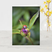 Ladybug On Peony, carte (Fleur jaune)