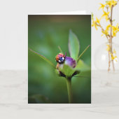 Ladybug On Peony, carte (Fleur jaune)