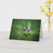 Ladybug On Peony, carte (Fleur jaune)
