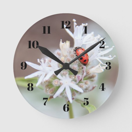 Ladybug on Silverleaf Phacelia Flowers Wall Clock Ronde Klok (Voorkant)