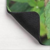 ladybug op blad muismat (Hoek)