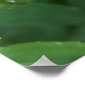 ladybug op blad poster (Hoek)