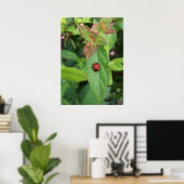 ladybug op blad poster (Thuiskantoor)